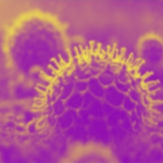 HMPV Virus: A Silent Threat